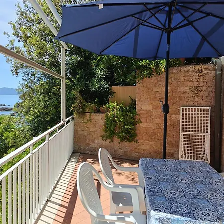 The Blue Gem 费亚斯切利诺